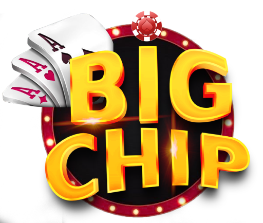 bigchip.net